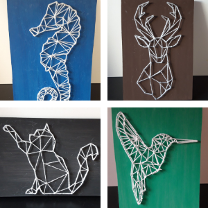 De 4 soorten string art DIY pakketten. Er is keuze uit een zeepaardje, een hert, een poes en een kolibrie.